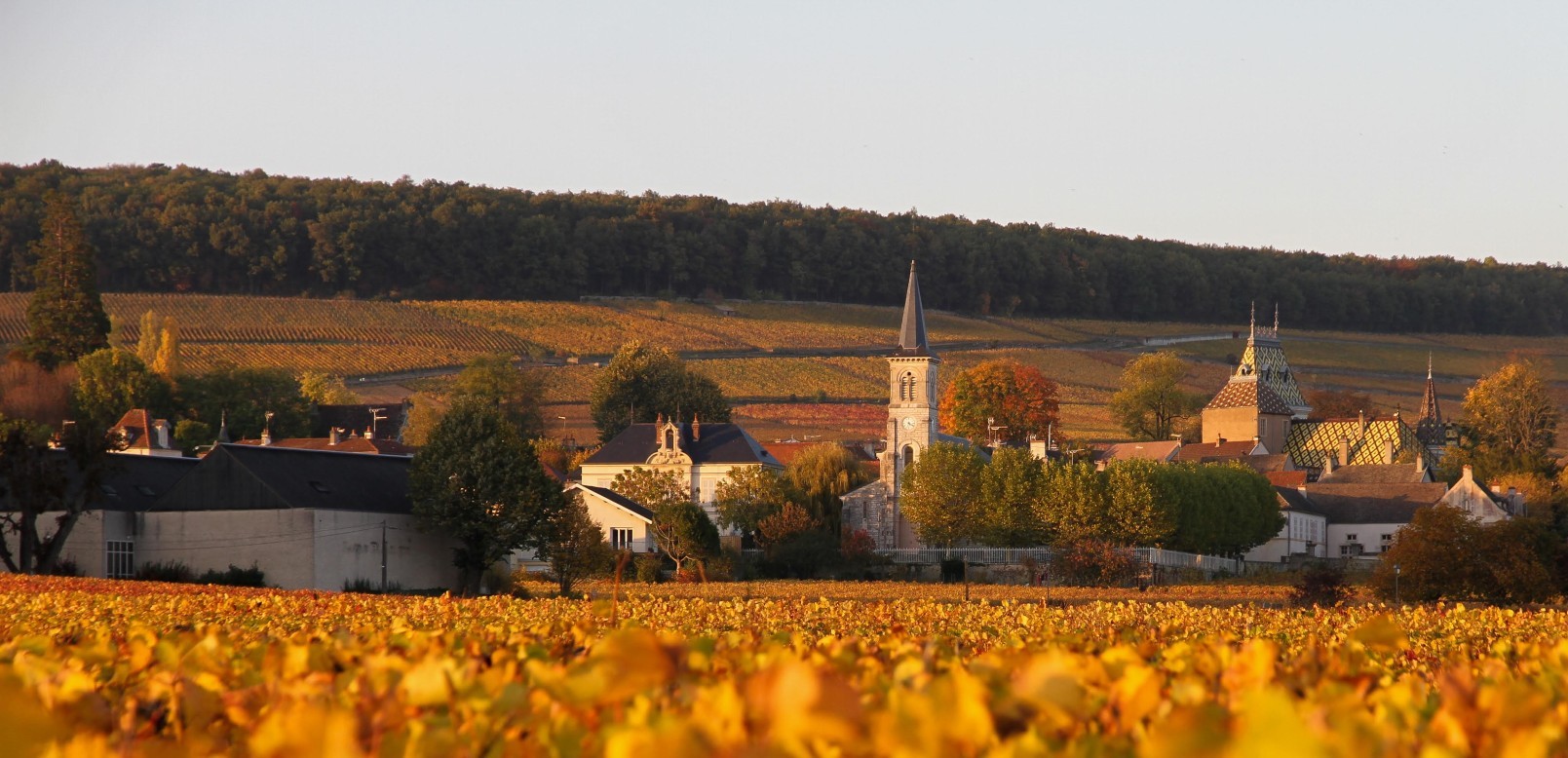 Banniere Aloxe-Corton en Bourgogne